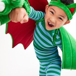 Hanna Andersson Dragon Costume Set